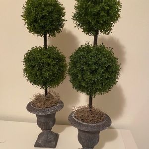 Decorative Double Topiary!